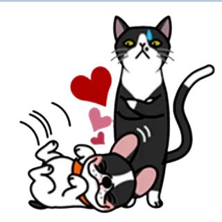 💖 кот, собака, любовь, животные, мультфильм, наклейка, милый whatsapp sticker