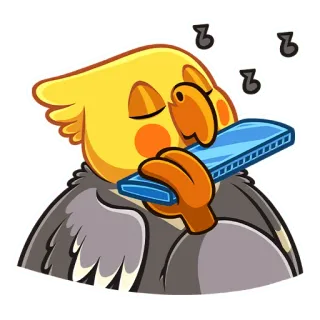 🎶 calopsita, pássaro, gaita, música, desenho animado, animal telegram sticker