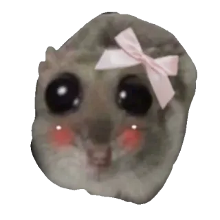 🥺 햄스터, 귀여운, 동물, 애완동물, 리본, 설치류 whatsapp sticker