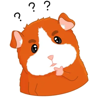 🤔 モルモット, 質問, 混乱, 考え中, 動物, ペット, 哺乳類 telegram sticker