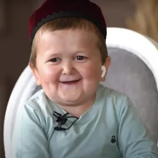 😂 Hasbulla Magomedov Hasbulla, Meme, Celebrity, Internet personality telegram sticker