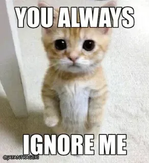 😕 YOU ALWAYS
IGNORE ME kot, kociak, ignorować, smutny, oczy, słodki telegram sticker