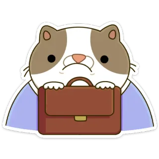 ☹️ cat, briefcase, business, office, animal, cartoon whatsapp sticker