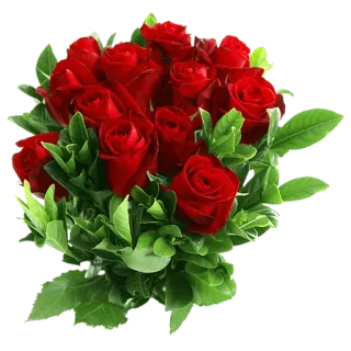 🌒 roses, red roses, flowers, bouquet, nature, romantic, gift telegram sticker