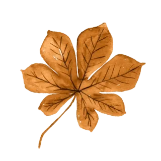 🍂 잎, 가을, 가을, 자연, 식물, 갈색 telegram sticker