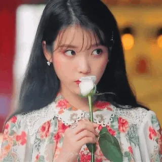 ʜᴏᴛᴇʟ ᴅᴇʟ ʟᴜɴᴀ ʙʏ ˢuᴶi whatsapp stickers