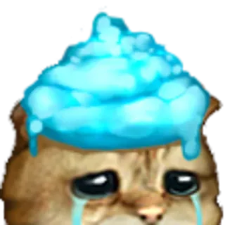 💩 Katze, traurig, weinen, Meme, Emotion, Tier telegram sticker