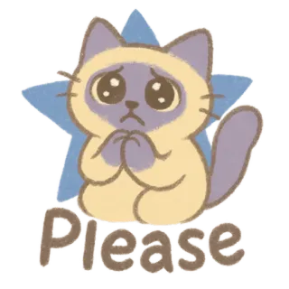 🐈‍⬛ Please chat, mignon, supplier, implorer, animal, demande whatsapp sticker