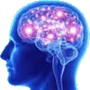 🧠