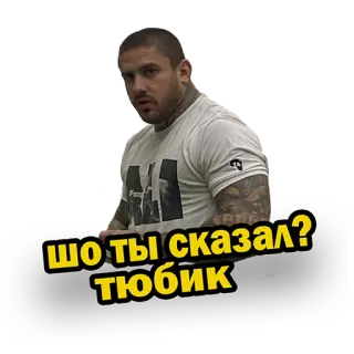 😤 ШО ТЫ СКАЗАЛ? ТЮБИК whatsapp sticker