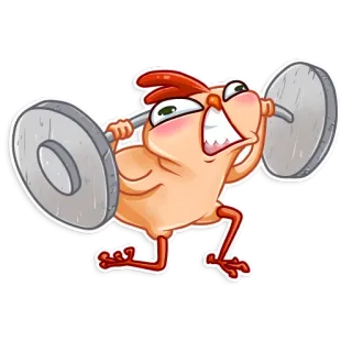 💪 pollo, sollevamento pesi, esercizio, fitness, cartone animato, divertente, animale, palestra whatsapp sticker