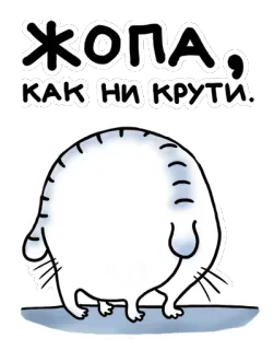 😬 ЖОПА, КАК НИ КРУТИ. кот, попа, стикер, русский, милый, животное telegram sticker