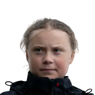 😒 Greta Thunberg Greta Thunberg, activist, climate change, environment, politics telegram sticker