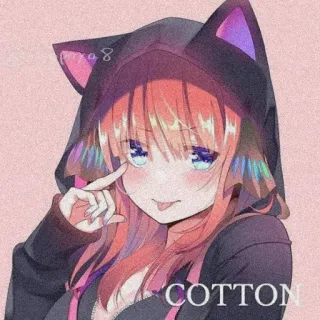 💌 COTTON Anime, Orelhas de gato, Moletom com capuz, Desenho animado, Adesivo telegram sticker