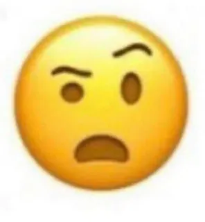 🤨 emoji whatsapp sticker