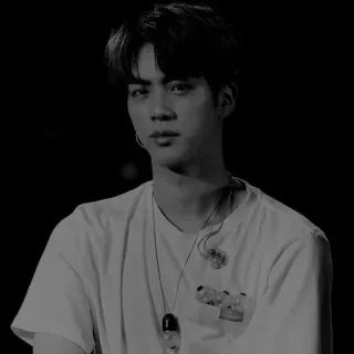 ✖️ Jin kpop, chanteur, musique, idol, artiste, portrait, célébrité telegram sticker