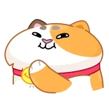 😅 kat, vrolijk, dier, schattig telegram sticker