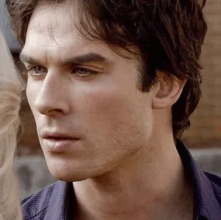 🤨 Damon Salvatore The Vampire Diaries vampiro, serie de TV, Ian Somerhalder, Damon, Salvatore telegram sticker