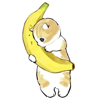 🍌 gato, plátano, lindo, gatito, kawaii, animal, mascota, comida whatsapp sticker