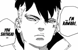 🛸 Kawaki YOU SHITHEAD... I'M KAWAKI. Anime, Manga, Kawaki, Boruto, Personaggio, Offensivo, Parolaccia telegram sticker