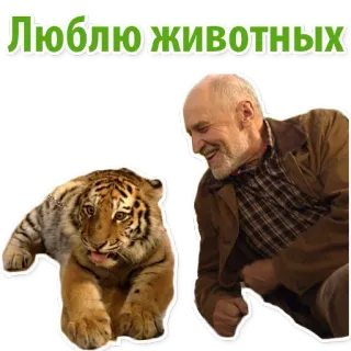 🐼 Люблю животных สัตว์, เสือ, ผู้ชาย, ความรัก, สัตว์ป่า, บวก whatsapp sticker