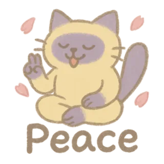 🐈‍⬛ Peace chat, paix, zen, méditation, animal whatsapp sticker