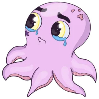☹️ polpo, triste, piangere, animale, cartone animato telegram sticker