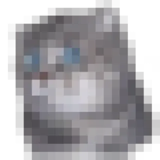 surprised cat telegram stickers