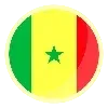 🇸🇳