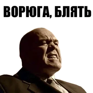 🦝 ВОРЮГА, БЛЯТЬ! whatsapp sticker