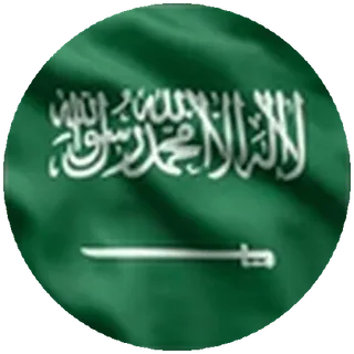 🇸🇦