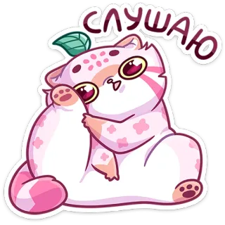 👂 СЛУШАЮ kot, słuchanie, słodki, naklejka, zwierzę, kawaii whatsapp sticker