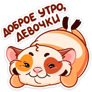 🤗 ДОБРОЕ УТРО, ДЕВОЧКИ gatto, carino, buongiorno, russo, animale, adesivo telegram sticker
