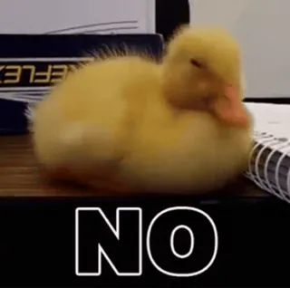 😣 NO duck, animal, cute, no, bird whatsapp sticker