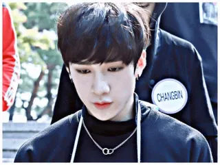 Chan.‌..🎈 @pizza_tuan whatsapp stickers