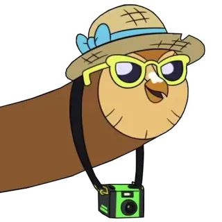 😎 kartun, burung hantu, imut, perjalanan, kamera, topi, hewan telegram sticker