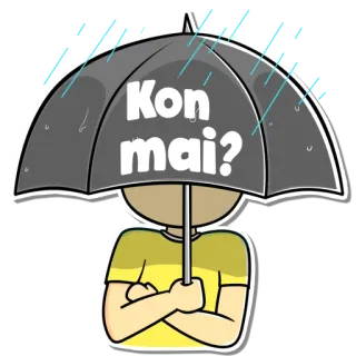 🙄 Kon mai? ombrello, pioggia, domanda, thailandese telegram sticker