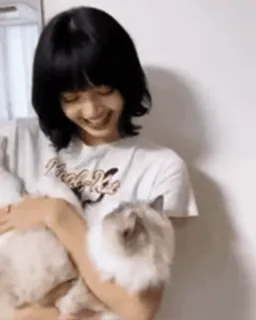 🏵 Lisa donna, gatto, animale domestico, persona, animale, sorriso, blackpink, lisa telegram sticker