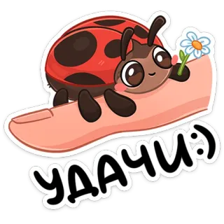 🤞 УДАЧИ :) เต่าทอง, ดอกไม้, โชคดี, โชคดีนะ, น่ารัก, การ์ตูน telegram sticker