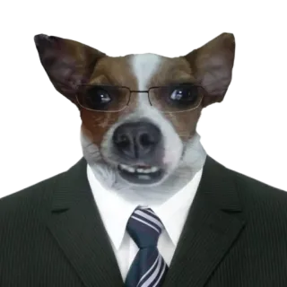 👨‍⚖️ 개, 정장, 안경, 동물, 인물, 웃긴, 넥타이 telegram sticker