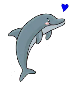 🖤 イルカ, 動物, 漫画, 海, 哺乳類, かわいい telegram sticker