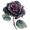 ༄˖°.🍂.ೃ࿔☕️*:･| @esthedia telegram emojis 🤎