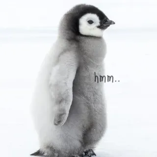 Athéna's Pinguin whatsapp stickers
