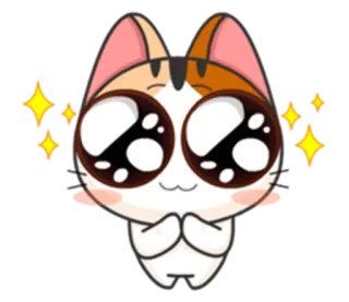🙏 gato, fofo, kawaii, implorando, brilho, desenho animado telegram sticker