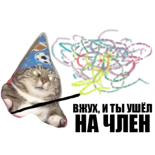 ✨ kat, feestmuts, schattig, sticker telegram sticker