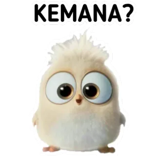 🙃 KEMANA? pájaro, bebé, lindo, animal, pollito telegram sticker