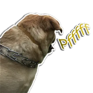 😤 Pfffff dog, animal, pet, pfff, exhausted, tired telegram sticker