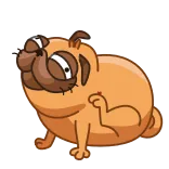 🥰 퍼그, 개, 동물, 애완동물, 가려움, 만화, 귀여운 telegram sticker