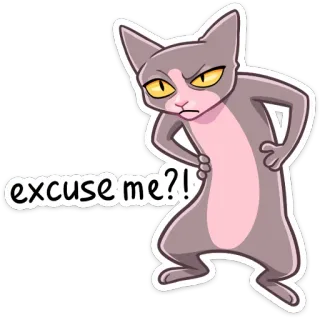 ❓ excuse me?! Katze, Sphinx Katze, Aufkleber, Meme, Lustig, Sarkastisch, Entschuldigung whatsapp sticker