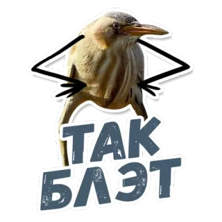 ТАК БЛЭТ @StikeryTG whatsapp stickers